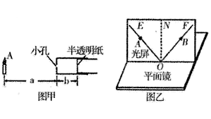 足球鞋适合立定跳远吗？探究足球鞋在立定跳远中的表现