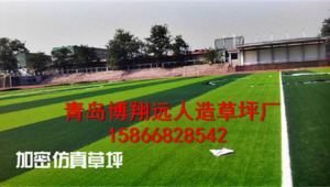 足球场建设是否选用人造草地探讨