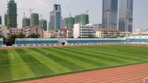 烟台有免费足球场吗？探寻城市绿茵免费资源的答案