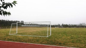 足球比赛场地：究竟是不是真草皮？