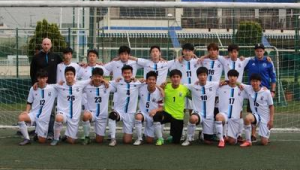 自己能否成立足球协会？相关要点与流程全解析