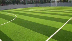 冬季公园绿地能否建足球场？多方因素待考量