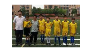 足球球童能否直接发球？规则与实际情况深度剖析