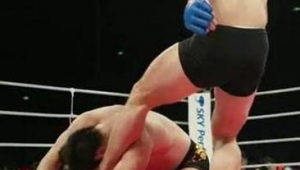 搏击比赛中是否存在足球踢这一动作探讨