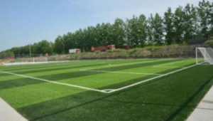 足球场能否养草皮?解析场地草皮养护的现实与考量