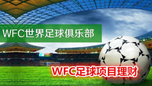 WFC足球俱乐部是否合法？真相究竟如何？