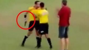 足球场裁判劝架是否违法，背后规则与法理如何权衡