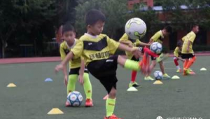 现在有足球辅导班吗？探寻当下足球培训新选择