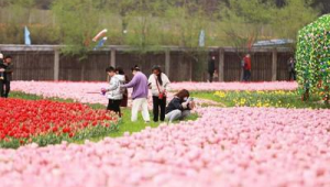 固始足球场现在免费开放吗？最新情况大揭秘