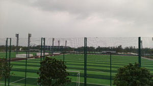 足球场草坪会结冰吗？影响因素及应对措施全解析