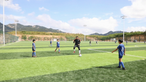 大连足球基地是否有人踢球？现状揭秘与球迷期待