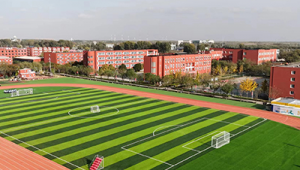 足球办学许可证申领：必须配备足球场这一要求合理吗？