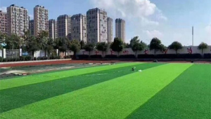 济宁有室内足球场吗？探寻这座城市的绿茵室内天地