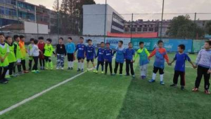 橡皮泥捏的足球能踢吗?探究其作为足球的可行性