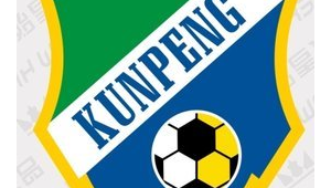 鲲鹏足球俱乐部目前收费情况揭秘