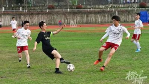 男足球与女篮球区别大吗？全方位对比解析二者差异