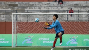 足球门将能否用手发球？规则解析与实际运用情况揭秘