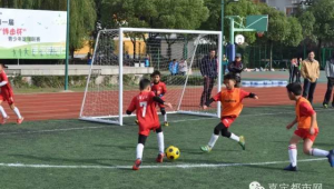 嘉定青少年足球收费情况如何，是免费还是另有收费标准？