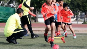 梅州足球有外国球员吗？探寻这座足球之乡的国际元素