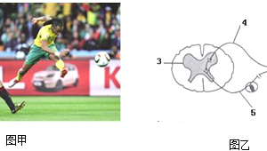 足球运动是平移吗?探究足球运动中的平移现象