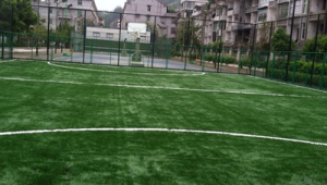 龙泉足球村的房子会拆迁吗