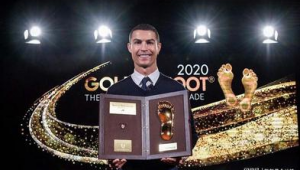 足球伊布有什么成就吗