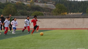 贵州白人踢足球的人数情况究竟如何