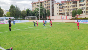 足球哨声哪面是正面:探寻背后的规则与奥秘