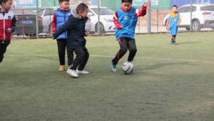 足球训练遇风雨,应否停步?坚持or妥协引发思考
