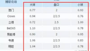 足球大小球玩法中本金如何界定,这里有你想知道的答案