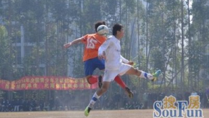 足球大脚将进球算犯规吗？探讨这一足球规则争议点