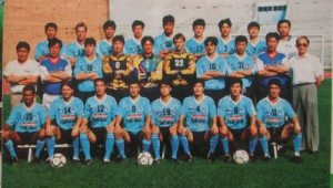 大连万达足球俱乐部成立年份相关探讨