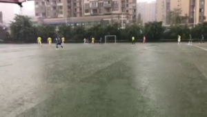 足球雨战是否易出大球?探究雨战对足球比赛进球数的影响