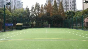 小区公园现在究竟可不可以踢足球