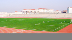 中国中学足球场地现状:有还是没有?情况究竟如何