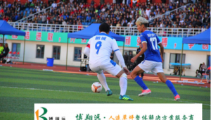 查足球编号是真的吗?真相究竟如何,引发众人探寻热潮