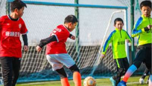 私教训练足球是否违法？探究其中法律界限与风险