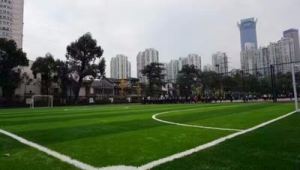 做足球的材料有毒吗？带你深入探究足球材料的安全性