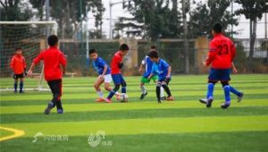 足球俱乐部进足校是否必要？全方位剖析利弊得失