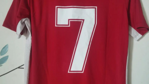 毛里求斯足球厉害吗:探究该国足球的真实实力与发展状况