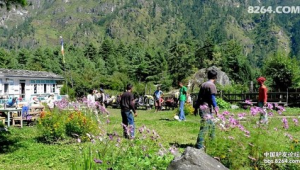 足球踢到胃口会变大吗？探究运动与食欲之间的奇妙关联