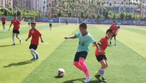 哈尔滨有足球联赛吗？探寻冰城足球热情与赛事踪迹