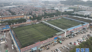 建了三年的足球场要拆吗？背后真相究竟如何引发众人关注