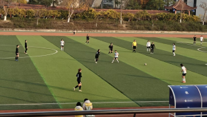 现代女子足球诞生年份揭秘:开启足球领域别样精彩篇章