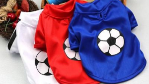 夏天狗狗能穿足球服吗？这些要点帮你判断！