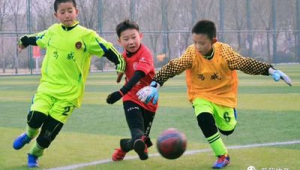 原平少年足球去哪踢了:探寻原平少年足球的新去处