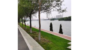 足球公园卖水可行否?探究其中利弊与前景