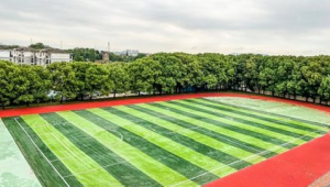 武珞路中学是否拥有足球场,你知道答案吗?