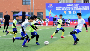 你会踢足球或打排球吗?探寻球类运动的乐趣与挑战