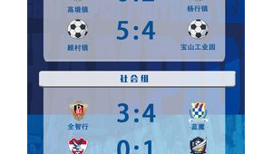 体彩足球能否押比分?带你深入了解体彩足球比分投注规则